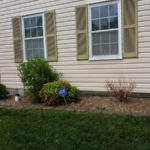 Before Shrub Replacement in Gaithersburg Maryland