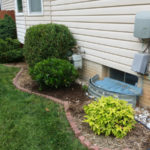 After Shrub Replacement in Gaithersburg Maryland