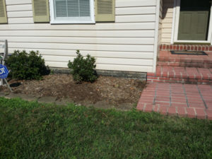 After Weeding and Clean Up by JSV Lawn Care Service, JSV Lawns, JSV Lawns of MD. Lawn Care, Landscaping, Clean Up, Weeding, Weed Pulling, Montgomery County, Maryland,Gaithersburg
