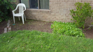 After Weeding and Clean Up by JSV Lawn Care Service, JSV Lawns, JSV Lawns of MD. Lawn Care, Landscaping, Clean Up, Weeding, Weed Pulling, Montgomery County, Maryland, Montgomery Village