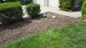 After Weeding and Clean Up by JSV Lawns, JSV Lawn Care Service, JSV Lawns of MD. Lawn Care, Landscaping, Clean Up, Weeding, Weed Pulling, Montgomery County, Maryland, North Potomac