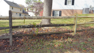 After Fence Repair by JSV Lawn Care Service, JSV Lawns, JSV Lawns of MD. Lawn Care, Landscaping, Montgomery Village, Montgomery County, Maryland