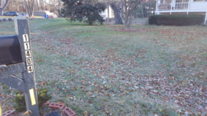 Before Leaf Removal, Clean Up by JSV Lawn Care Service, JSV Lawns, JSV Lawns of MD. Lawn Care, Landscaping, Clean Up, Germantown, Montgomery County, Maryland
