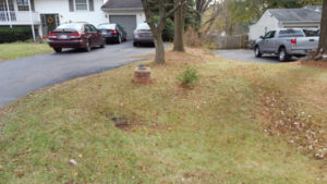 After Leaf Removal, Clean Up by JSV Lawn Care Service, JSV Lawns, JSV Lawns of MD. Lawn Care, Landscaping, Clean Up, Germantown, Montgomery County, Maryland