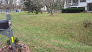After Leaf Removal, Clean Up by JSV Lawn Care Service, JSV Lawns, JSV Lawns of MD. Lawn Care, Landscaping, Clean Up, Germantown, Montgomery County, Maryland